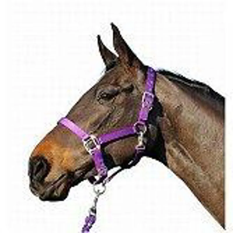 Cottage Craft Smart Headcollar